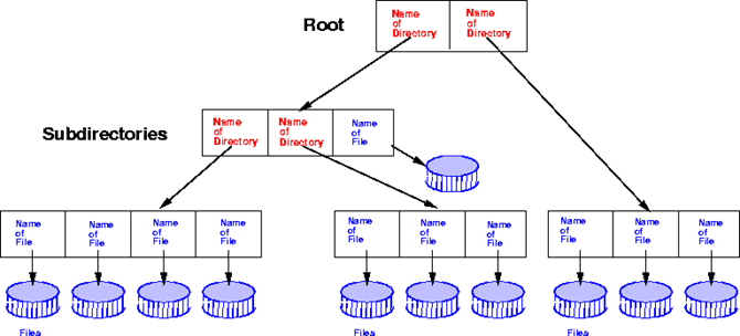 image-20240117115711275